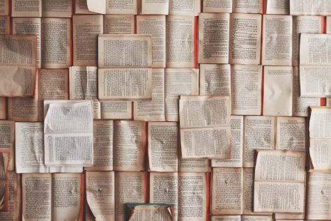 The Rise of BookTok and Bookstagram