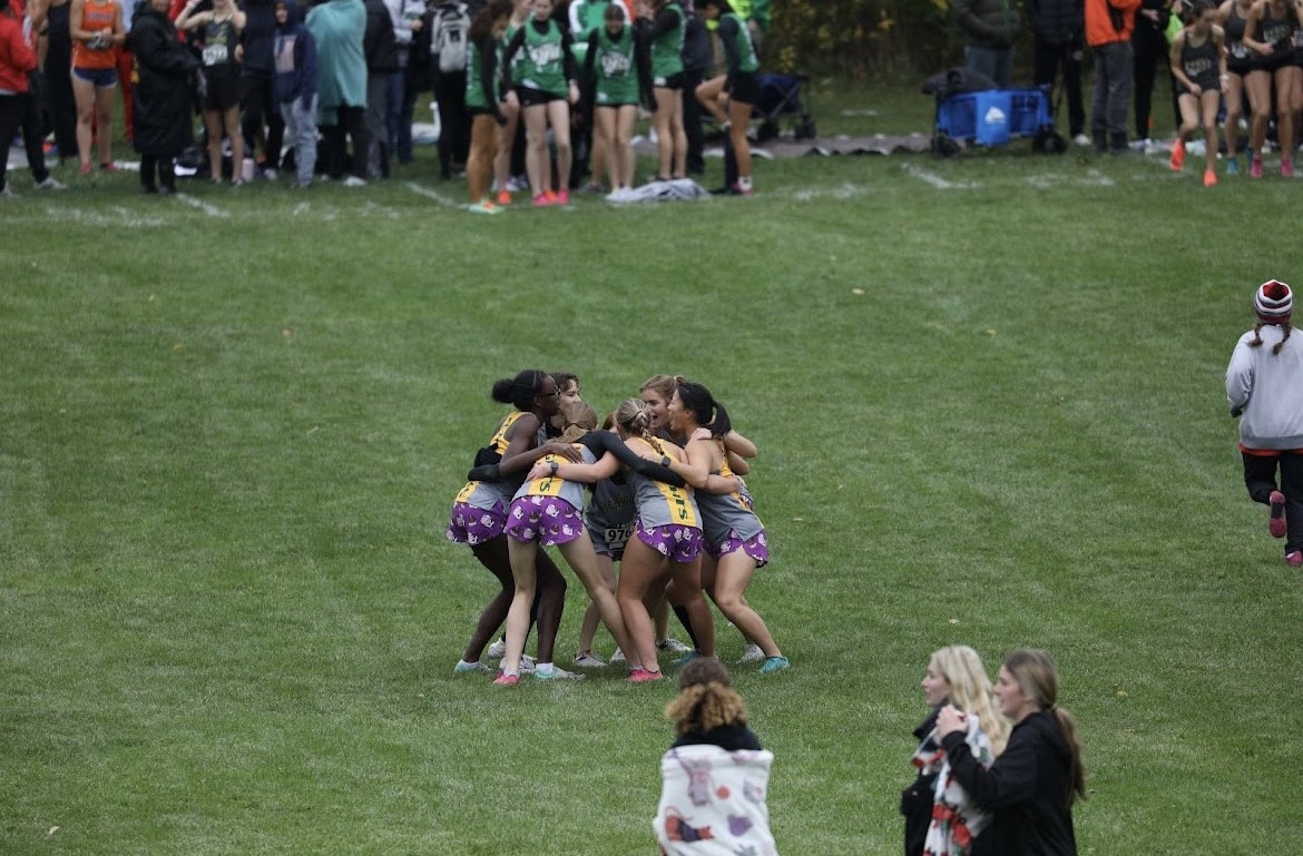 Girls Huddle at Sectionals