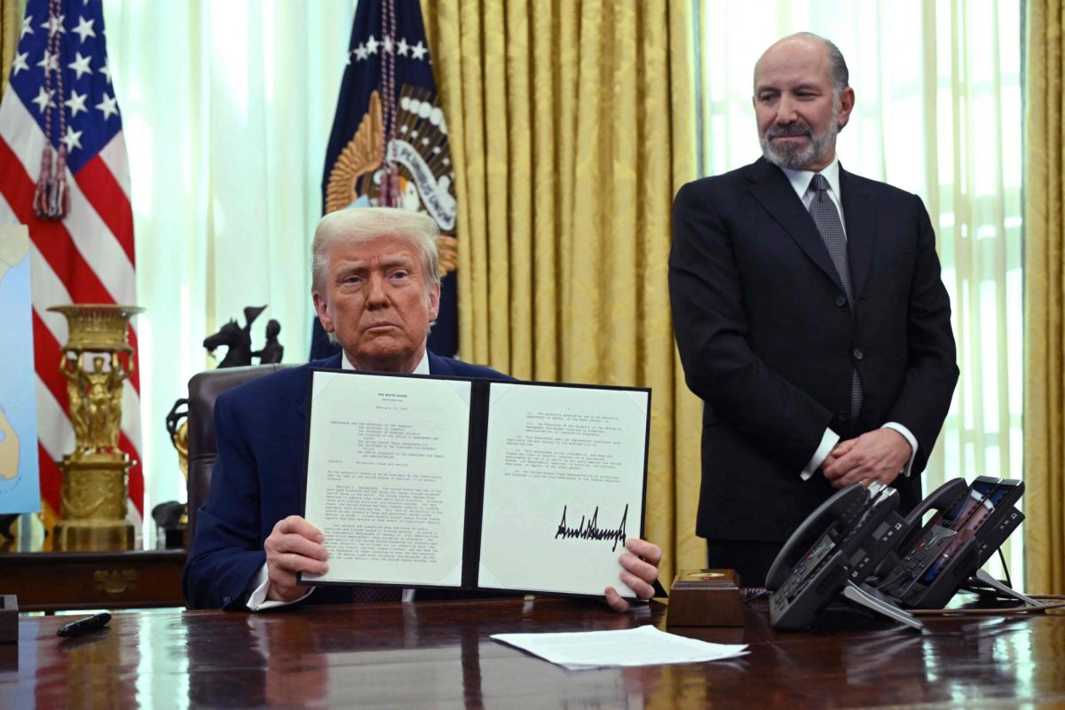 International Tariffs and Their Domestic Effects