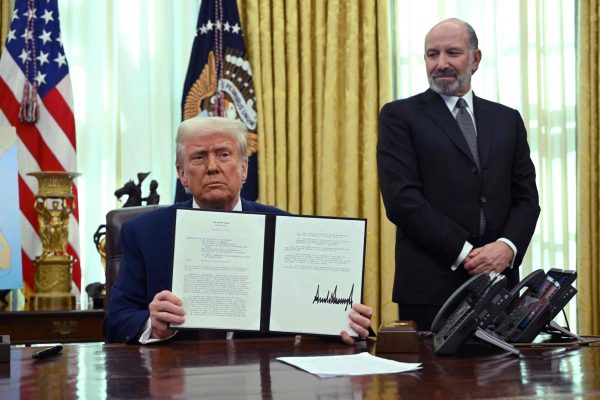 International Tariffs and Their Domestic Effects