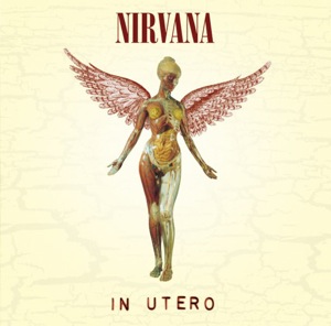 Nirvana's In Utero Album Cover Art